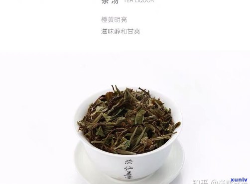 南山仙茗茶叶口感如何？好喝吗？知乎上有评价吗？价格是多少？