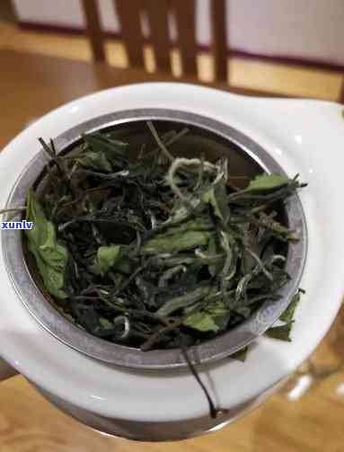 南山仙茗茶叶怎么样知乎，南山仙茗茶叶品质如何？知乎网友分享真实评价！