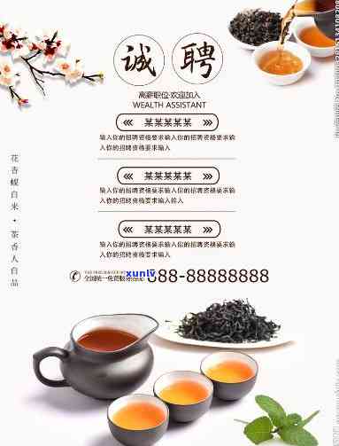 宝城茶叶 *** ，寻找好茶，宝城茶叶诚聘英才