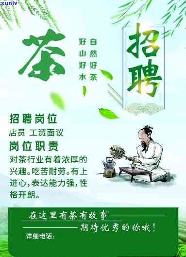 宝城茶叶 *** ，寻找好茶，宝城茶叶诚聘英才