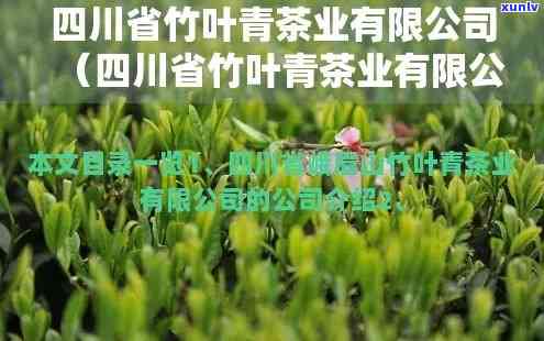 普洱茶8613是什么意思：探究普洱茶编号8613的含义及其品质特点。