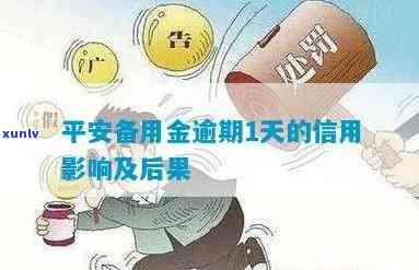 备用金逾期平安半年会怎么样，逾期半年，备用金将面临什么结果？——平安银行的解决方法解析