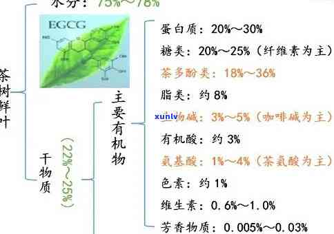 茶叶营养成分表图片高清，探索茶叶的营养价值：高清茶叶营养成分表图片解析