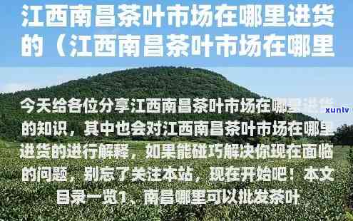 江西南茶叶市场地址及进货信息全攻略