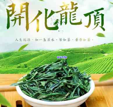 开化龙顶茶叶怎么样好喝吗，探秘开化龙顶：这款茶叶究竟如何，口感如何？