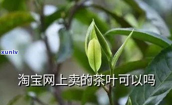  *** 买的茶叶能喝吗- *** 买的茶叶能喝吗安全吗