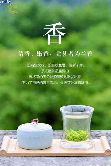 三溪香茗茶叶好喝吗？知乎用户分享评测与图片