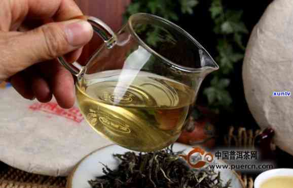 新茶叶能泡茶喝吗？知乎上有人认为有，是真是假？