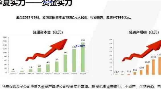 华易达金宽限期，华易达金：理解宽限期的关键性