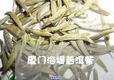 厦门海堤茶叶，厦门海堤茶叶：优质茶叶的生产商和供应商