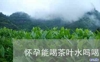 怀孕期间喝茶叶水对胎儿有影响吗？科普视频解析