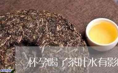 怀孕期间喝茶叶水对胎儿有影响吗？科普视频解析