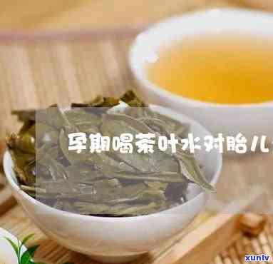 怀孕期间喝茶叶水对胎儿有影响吗？科普视频解析