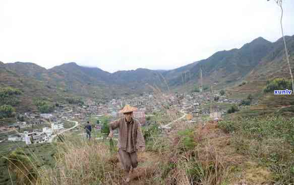 泉州茶叶包装场地址及联系方式全攻略