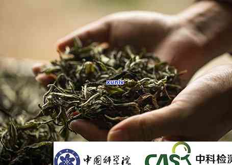 茶叶过安检还能喝吗，茶叶经过安检后是否还可以饮用？