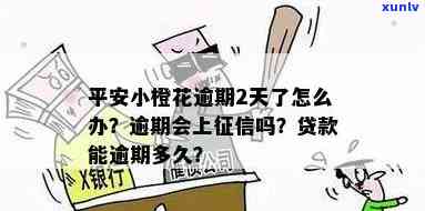 平安小橙花逾期还款怎么还，怎样归还平安小橙花逾期欠款？