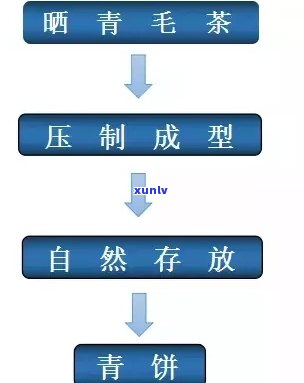 茶叶的生产流程图：绘制步骤与详细说明