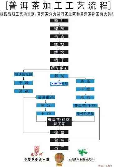 茶叶的生产流程图：绘制步骤与详细说明