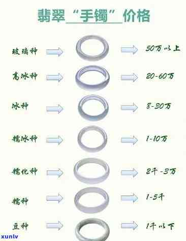 全面解析：口感上佳的普洱茶品种及其特点，助您挑选最适合的普洱茶