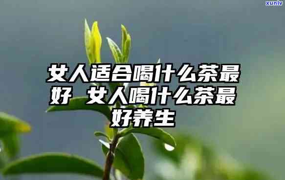 女人经常喝茶叶好吗？详解其益处与注意事