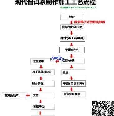 茶叶的加工工艺实验-茶叶的加工工艺实验报告