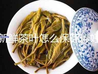 新茶叶怎样保存法-新茶叶怎样保存法