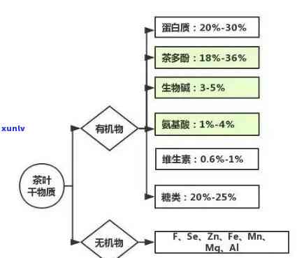 详述茶叶检测  ：全面解析与应用