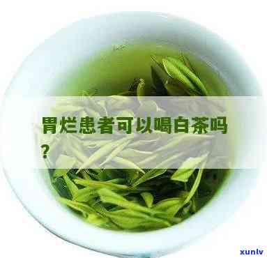 胃烂能喝茶叶水吗-胃烂能喝茶叶水吗女性