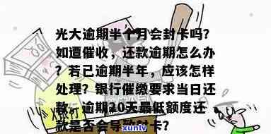 辣绿糯种翡翠手镯