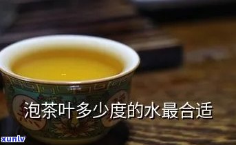 茶叶用水泡可以吗-茶叶用水泡可以吗怎么泡