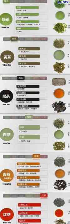 茶叶的利用经历了哪几个阶？多选题