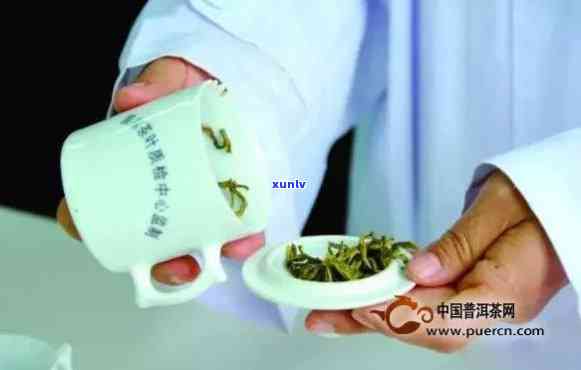 茶叶重金属检测视频，保障食品安全：茶叶重金属检测全过程实拍视频