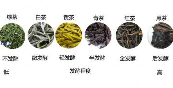 茶叶的分类 ***  *** -茶叶的种类及 *** 过程