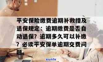 平安保险逾期没交保险费需要怎么交，如何解决平安保险逾期未缴纳保费问题？