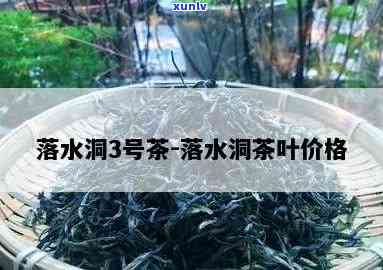 落水洞茶叶是几个芽-落水洞茶叶的特点和口感