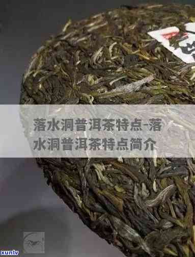 落水洞茶叶是几个芽-落水洞茶叶的特点和口感