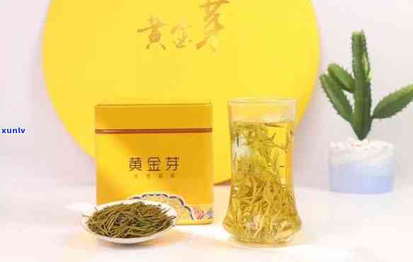 天福黄金芽绿茶价格，探究天福黄金芽绿茶的价格，品味贵族级别的茶香