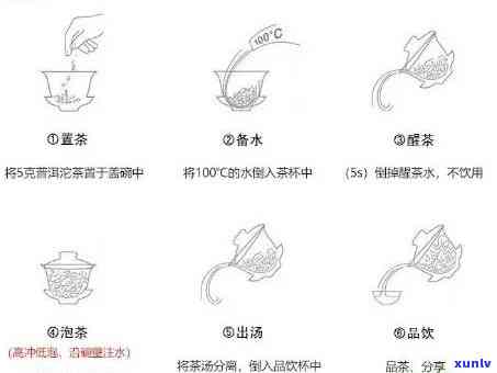 冲泡茶叶的步骤全解析：你不可不知的 *** 