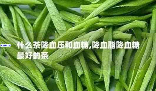 哪种茶叶可以降血压降血脂，哪些茶叶有助于降低血压和血脂？