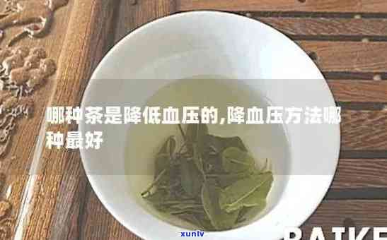 哪种茶叶能有效降血压？比较分析