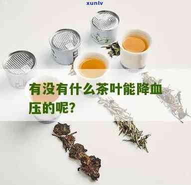 哪种茶叶能有效降血压？比较分析