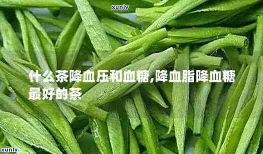 哪些茶叶可以降血压效果好，降血压效果好的茶叶有哪些？