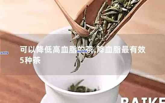 茶叶中的什么具有降血脂降血糖的作用，揭秘：茶叶中何种成分具有显著的降血脂、降血糖作用？