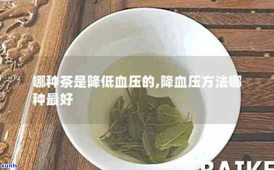 茶叶成分降脂降血压-茶叶中降血压的成分