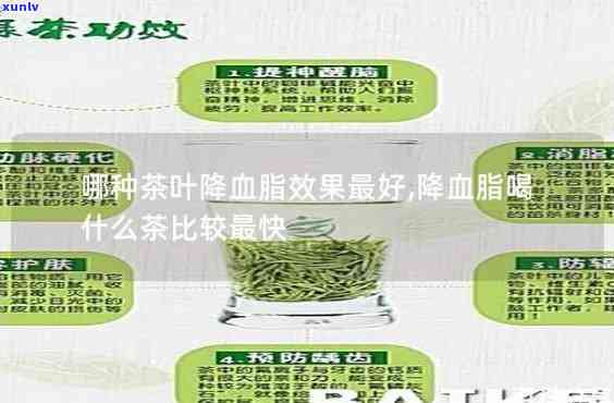 茶叶成分降脂降血压-茶叶中降血压的成分