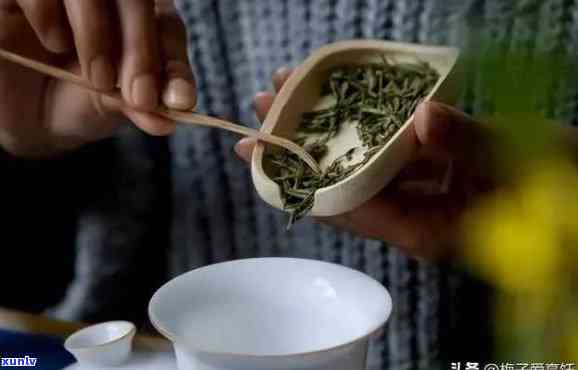 茶叶如何冲泡出茶香味？详细步骤与技巧分享