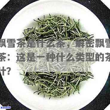 有个茶的名字叫飘雪，飘雪：一种独特的茶名字的由来和故事