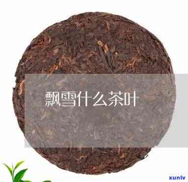 班章茶厂老曼峨，探访班章茶厂老曼峨：揭秘普洱茶的独特魅力