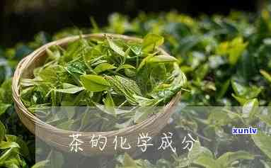 茶叶的主要成分化学-茶叶的主要成分化学式