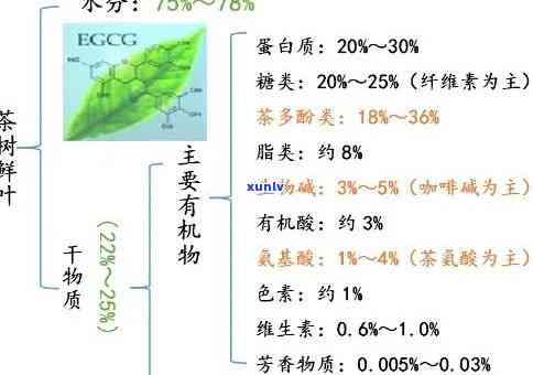 茶叶中主要的有机化合物包括：种类与成分解析